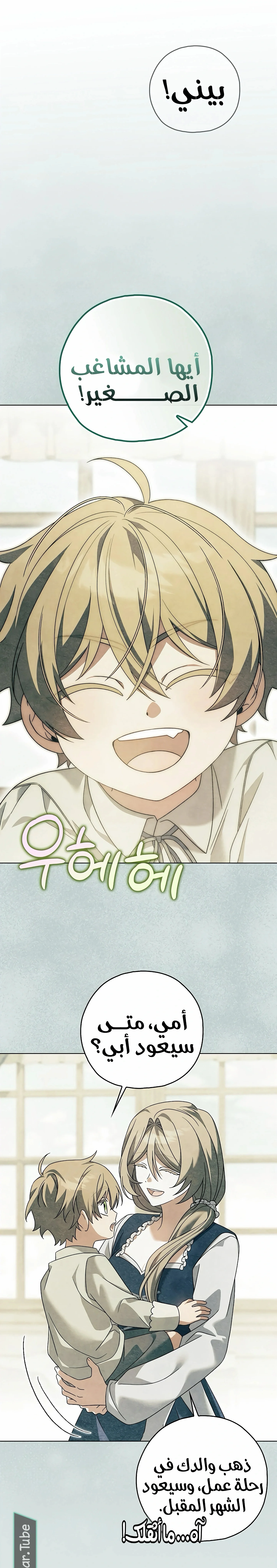 Read Looking For The Villainess’s Contract Husband AR Manga Online