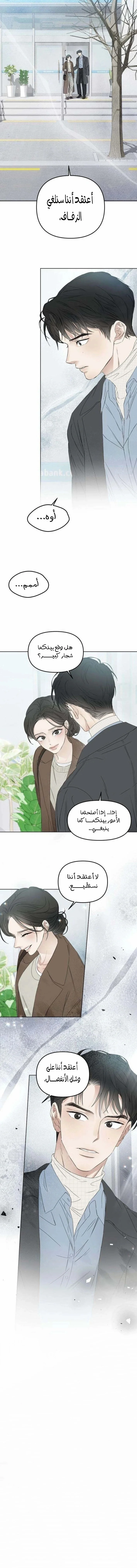 Read Marriage Subscription Lottery AR Manga Online