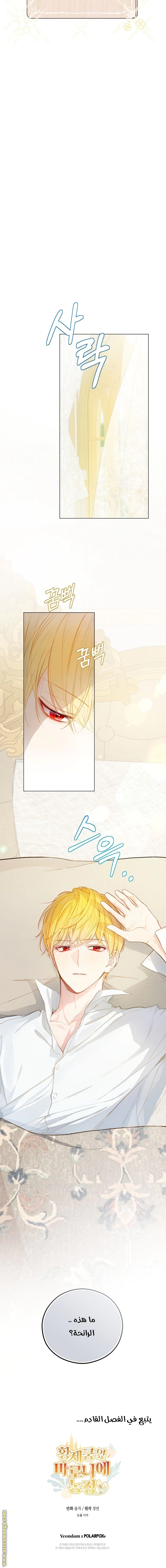Read Marronnier Farm Near By The Imperial Palace AR Manga Online