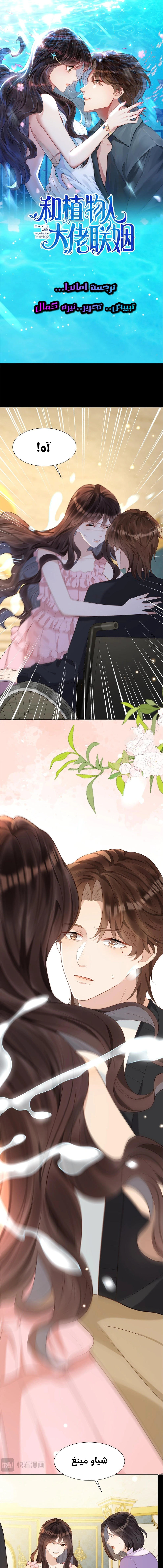 Read Marrying with vegetative marriage AR Manga Online