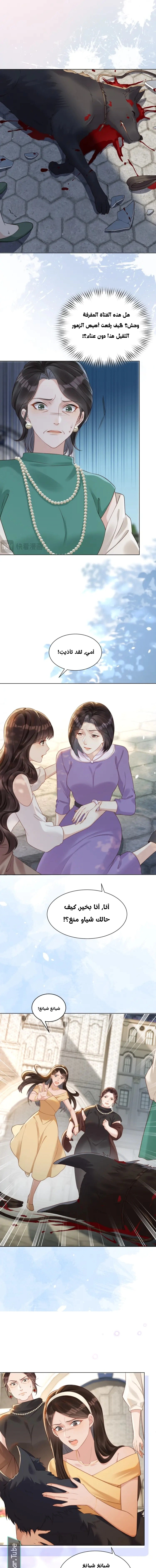 Read Marrying with vegetative marriage AR Manga Online