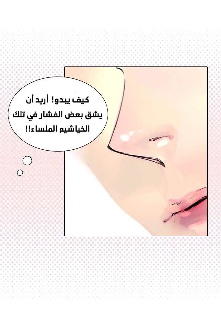 Read Miss Not-So Sidekick AR Manga Online
