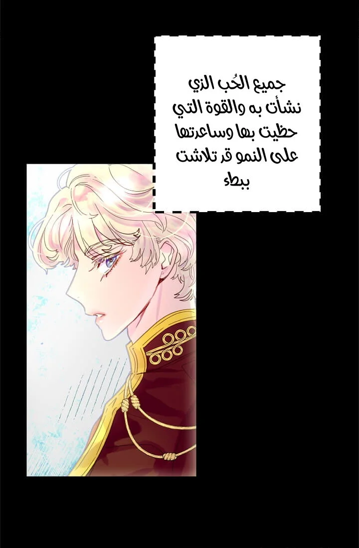 Read Miss Not-So Sidekick AR Manga Online