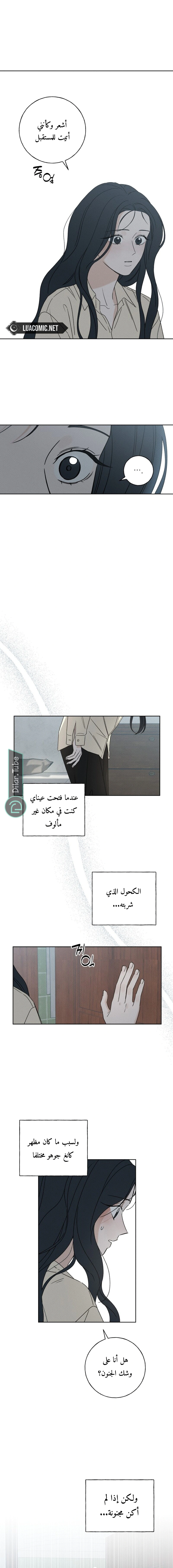 Read Miyeon AR Manga Online