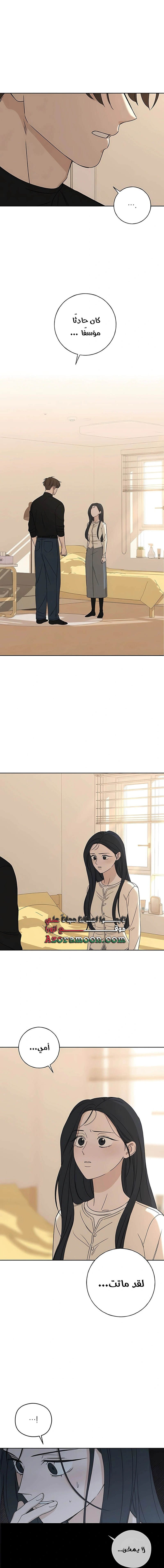 Read Miyeon AR Manga Online