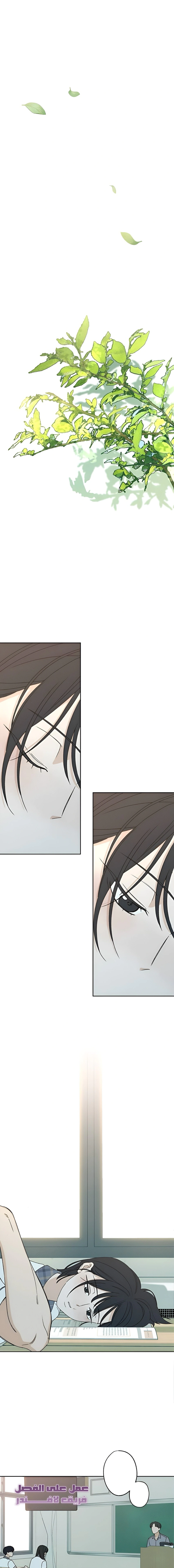 Read Miyeon AR Manga Online