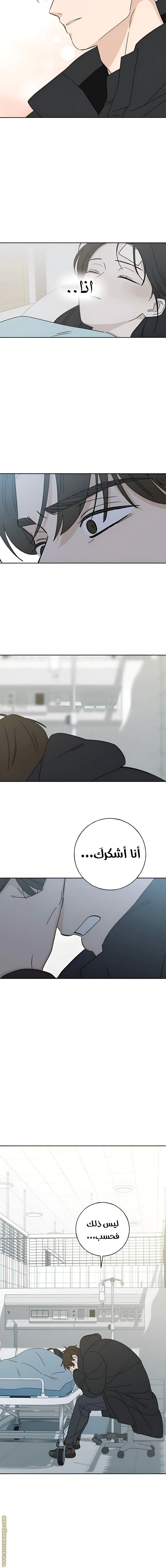 Read Miyeon AR Manga Online