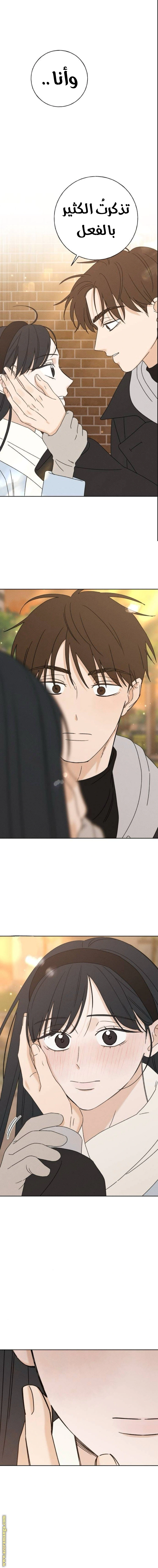 Read Miyeon AR Manga Online