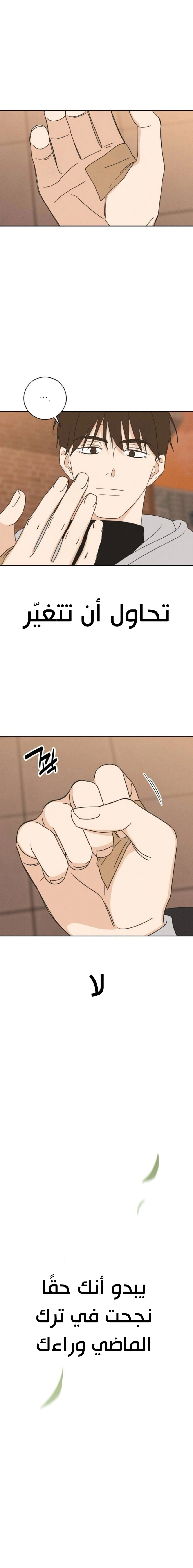 Read Miyeon AR Manga Online