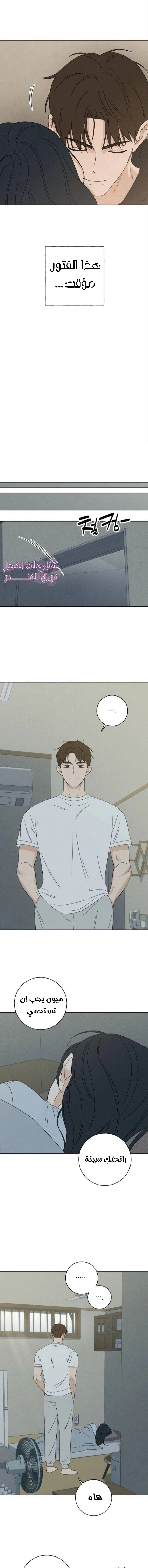 Read Miyeon AR Manga Online