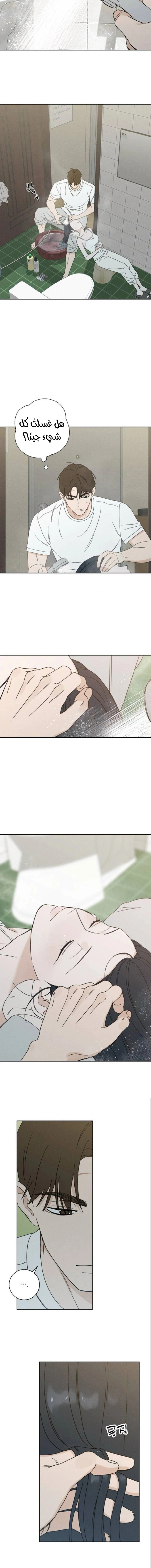 Read Miyeon AR Manga Online