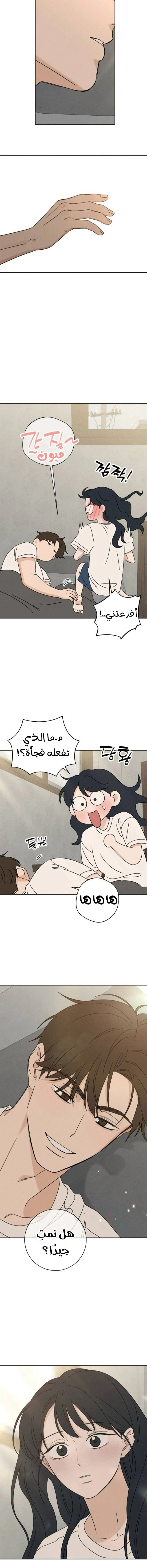 Read Miyeon AR Manga Online