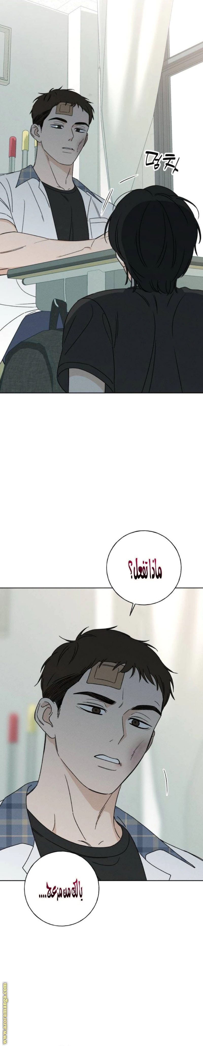 Read Miyeon AR Manga Online