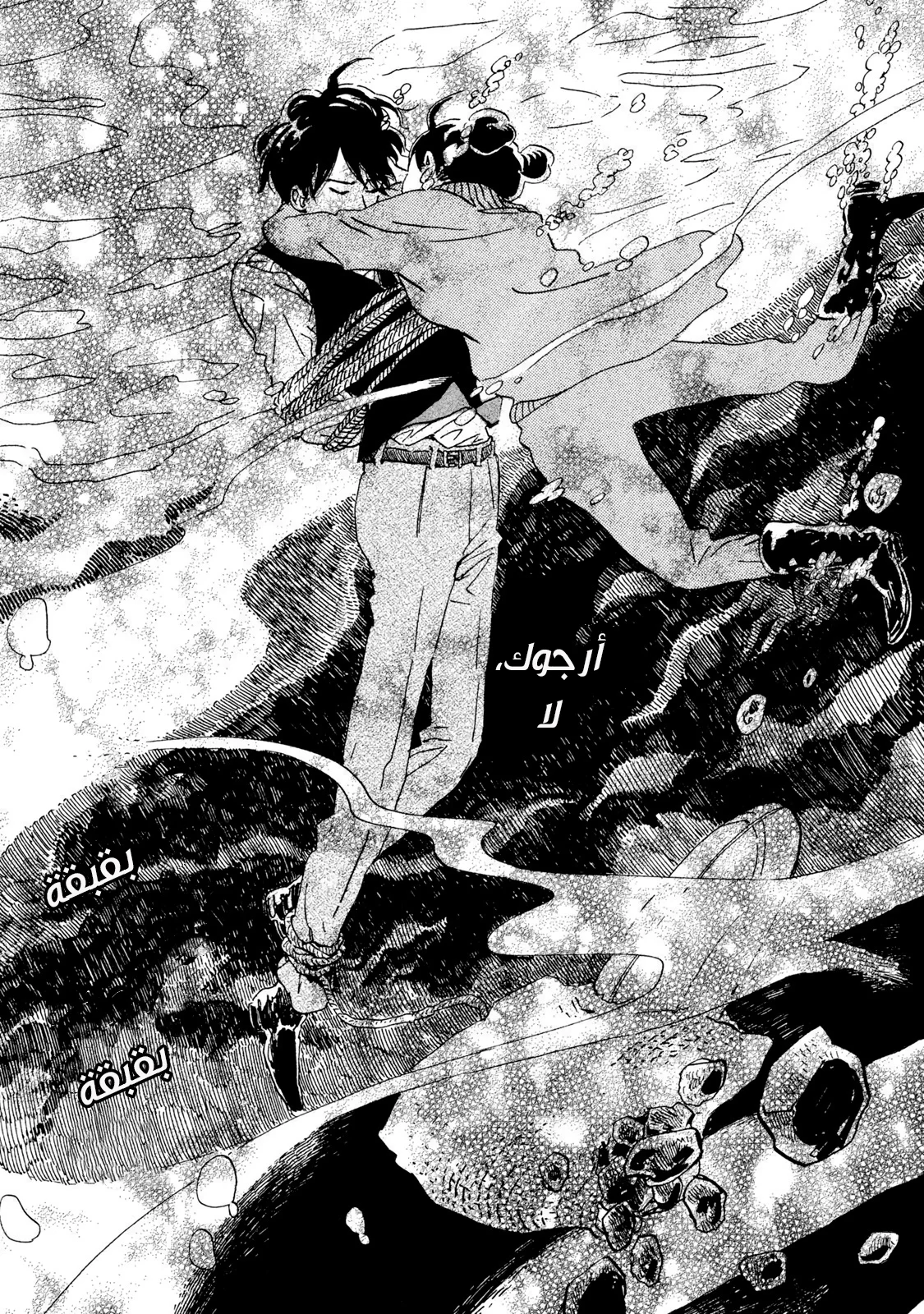 Read Namida Ame to Serenade AR Manga Online