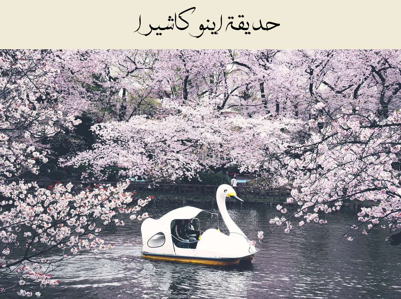 Read Namida Ame to Serenade AR Manga Online