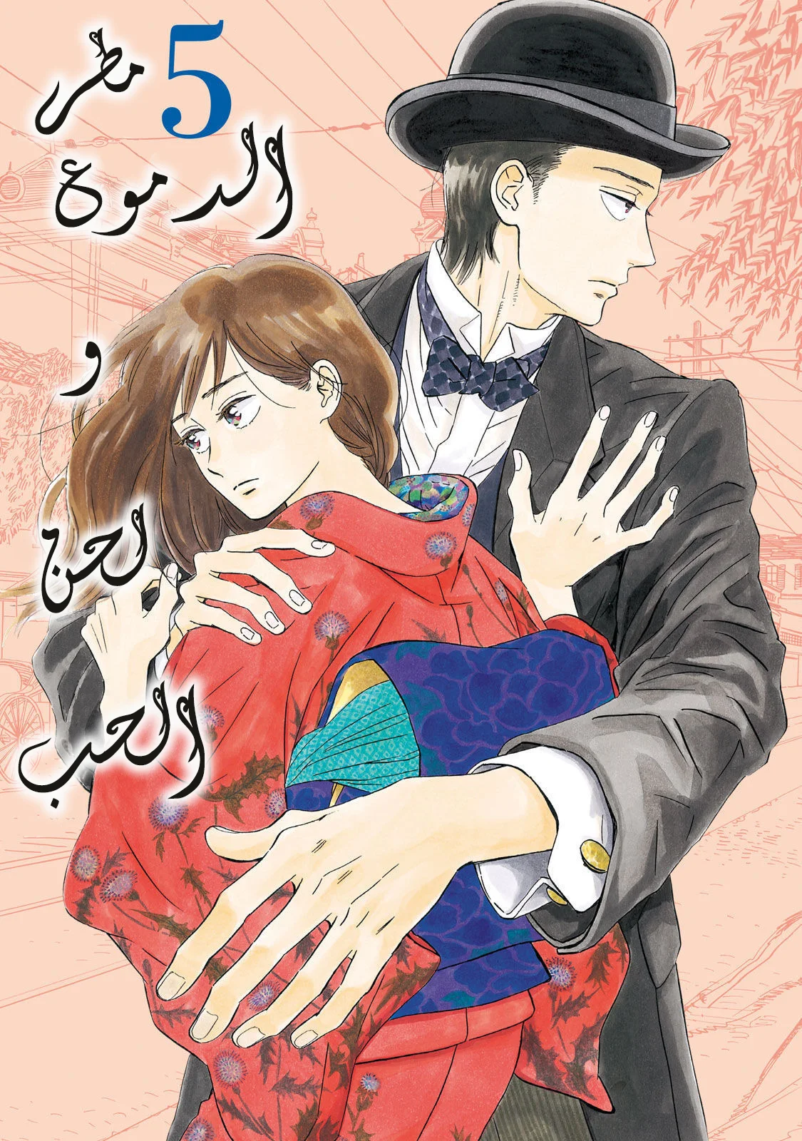 Read Namida Ame to Serenade AR Manga Online