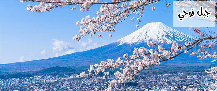 Read Namida Ame to Serenade AR Manga Online