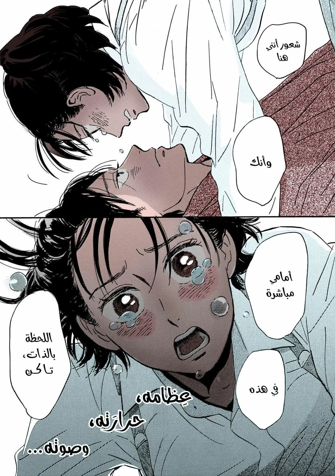 Read Namida Ame to Serenade AR Manga Online