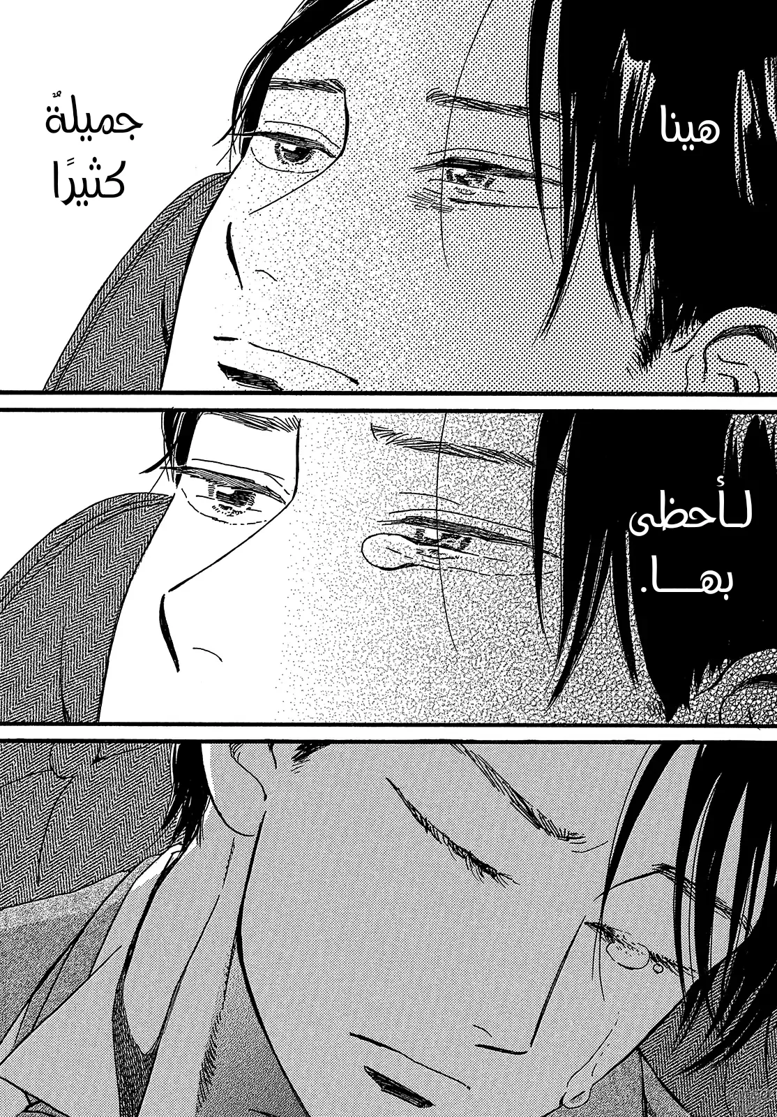 Read Namida Ame to Serenade AR Manga Online