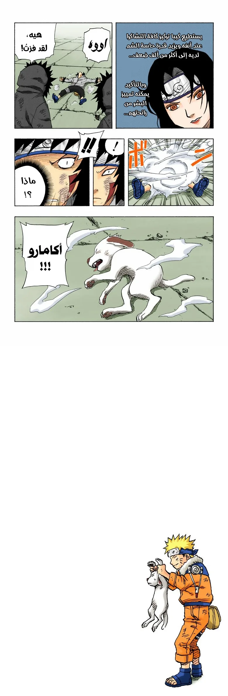 Read Naruto – Digital Colored AR Manga Online