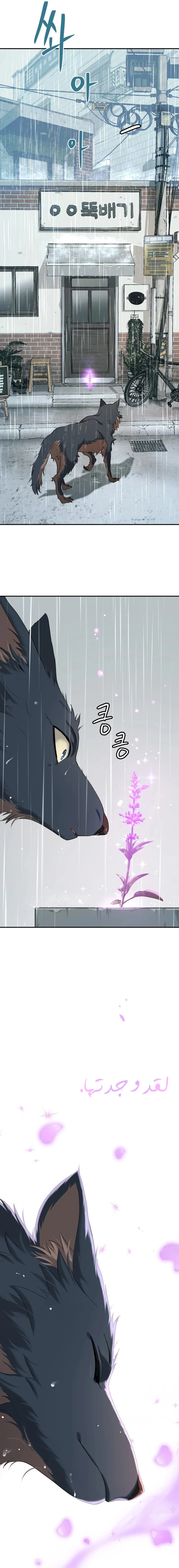 Read Oh! Dangun AR Manga Online