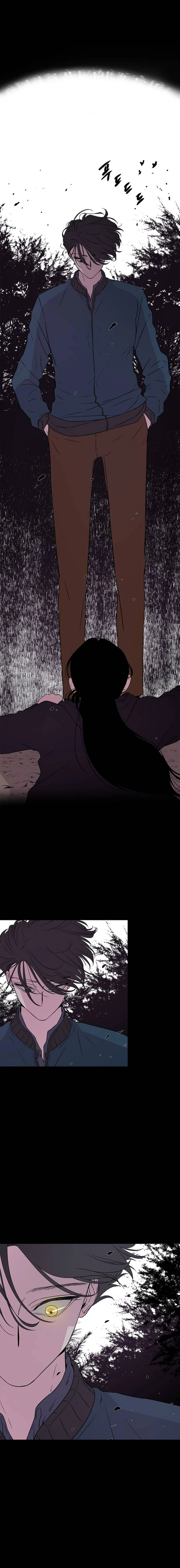 Read Olgami AR Manga Online