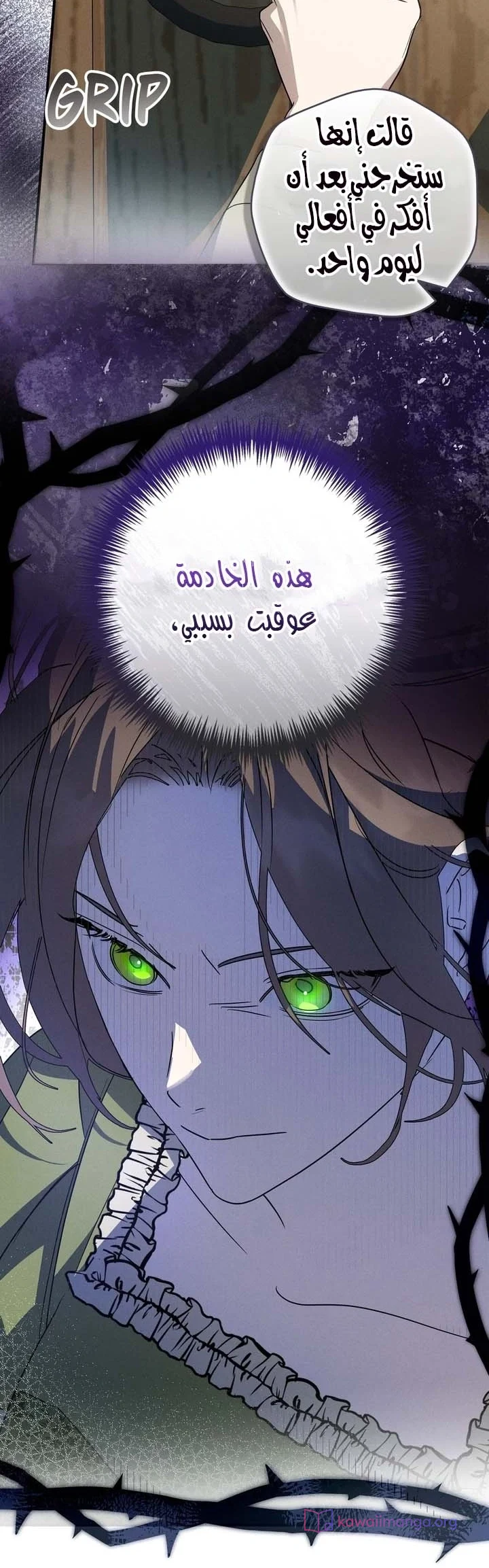 Read Once an Assassin Now a Royal Nanny AR Manga Online