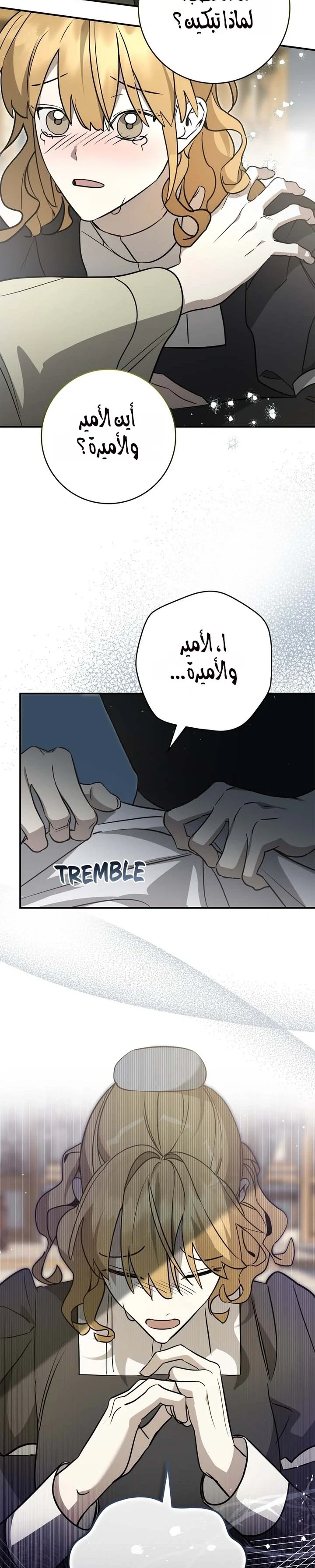 Read Once an Assassin Now a Royal Nanny AR Manga Online