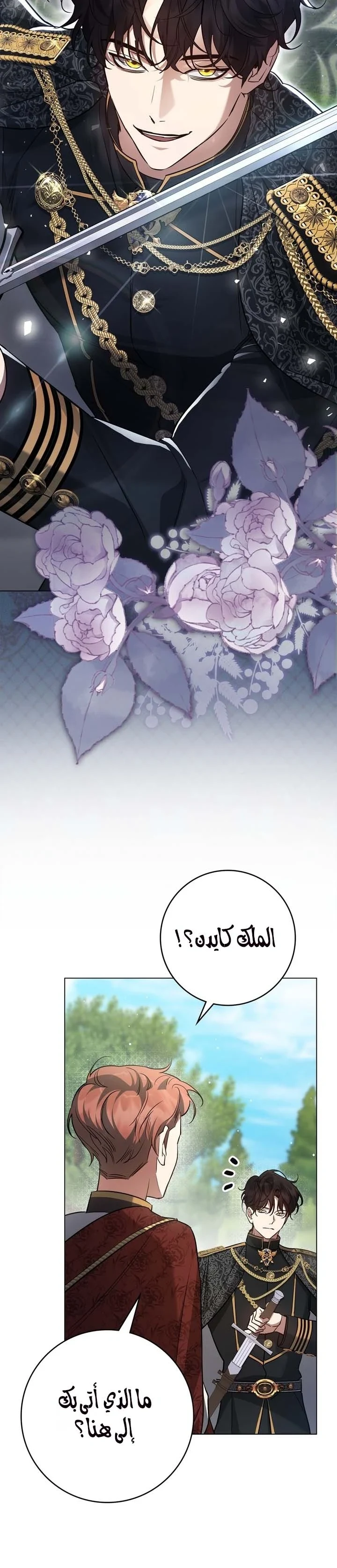 Read Once an Assassin Now a Royal Nanny AR Manga Online