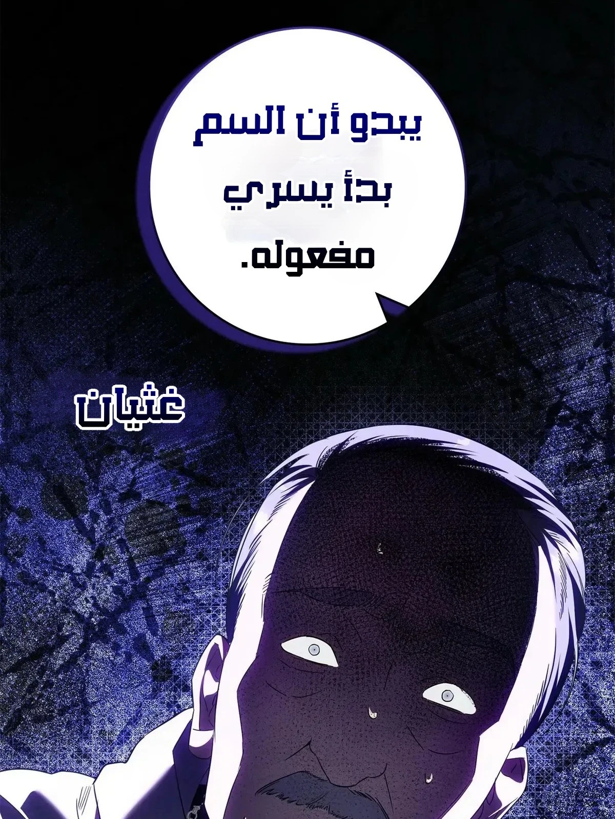Read Once an Assassin Now a Royal Nanny AR Manga Online