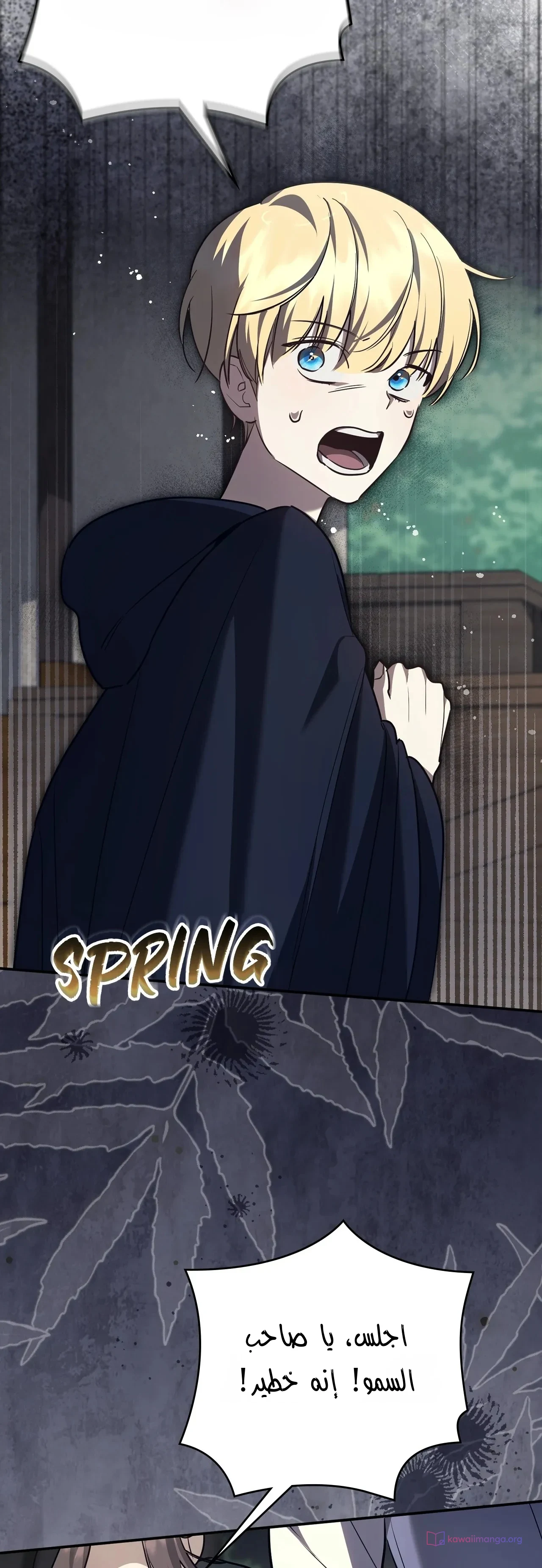 Read Once an Assassin Now a Royal Nanny AR Manga Online