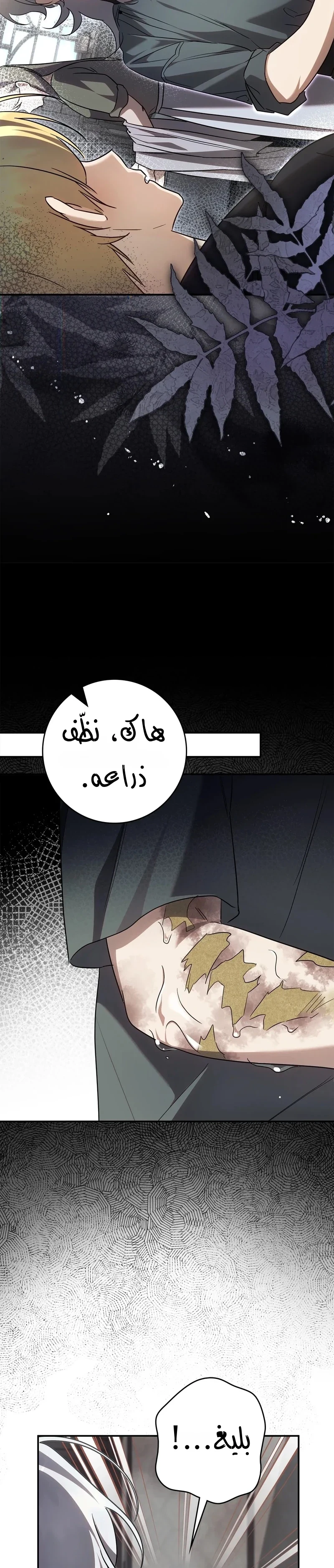 Read Once an Assassin Now a Royal Nanny AR Manga Online