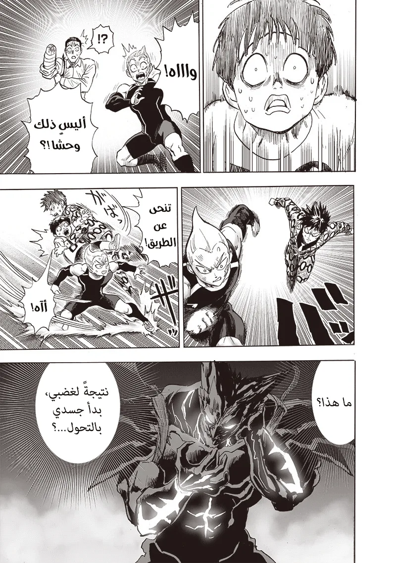 Read One Punch Man AR Manga Online