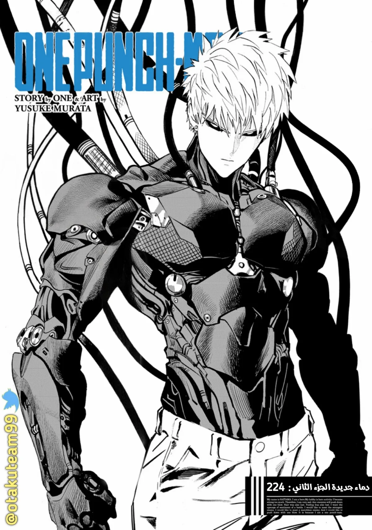 Read One Punch Man AR Manga Online