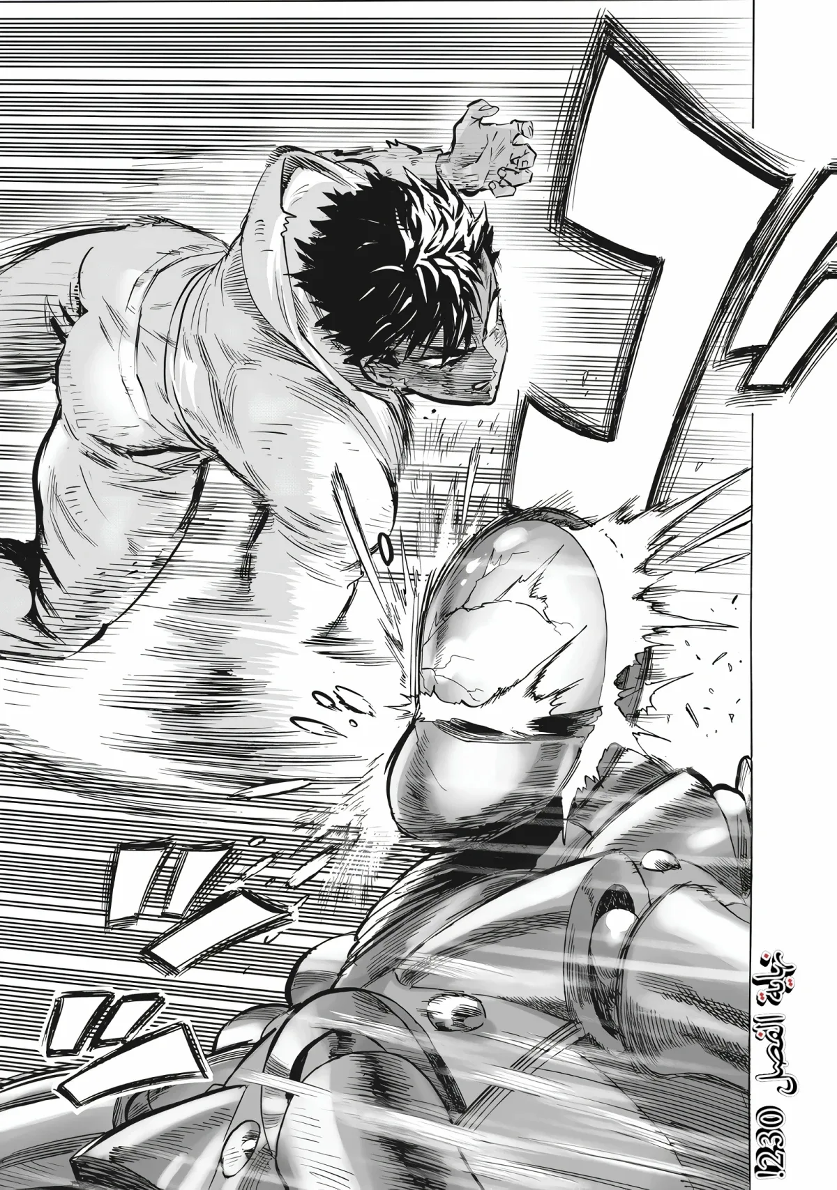 Read One Punch Man AR Manga Online