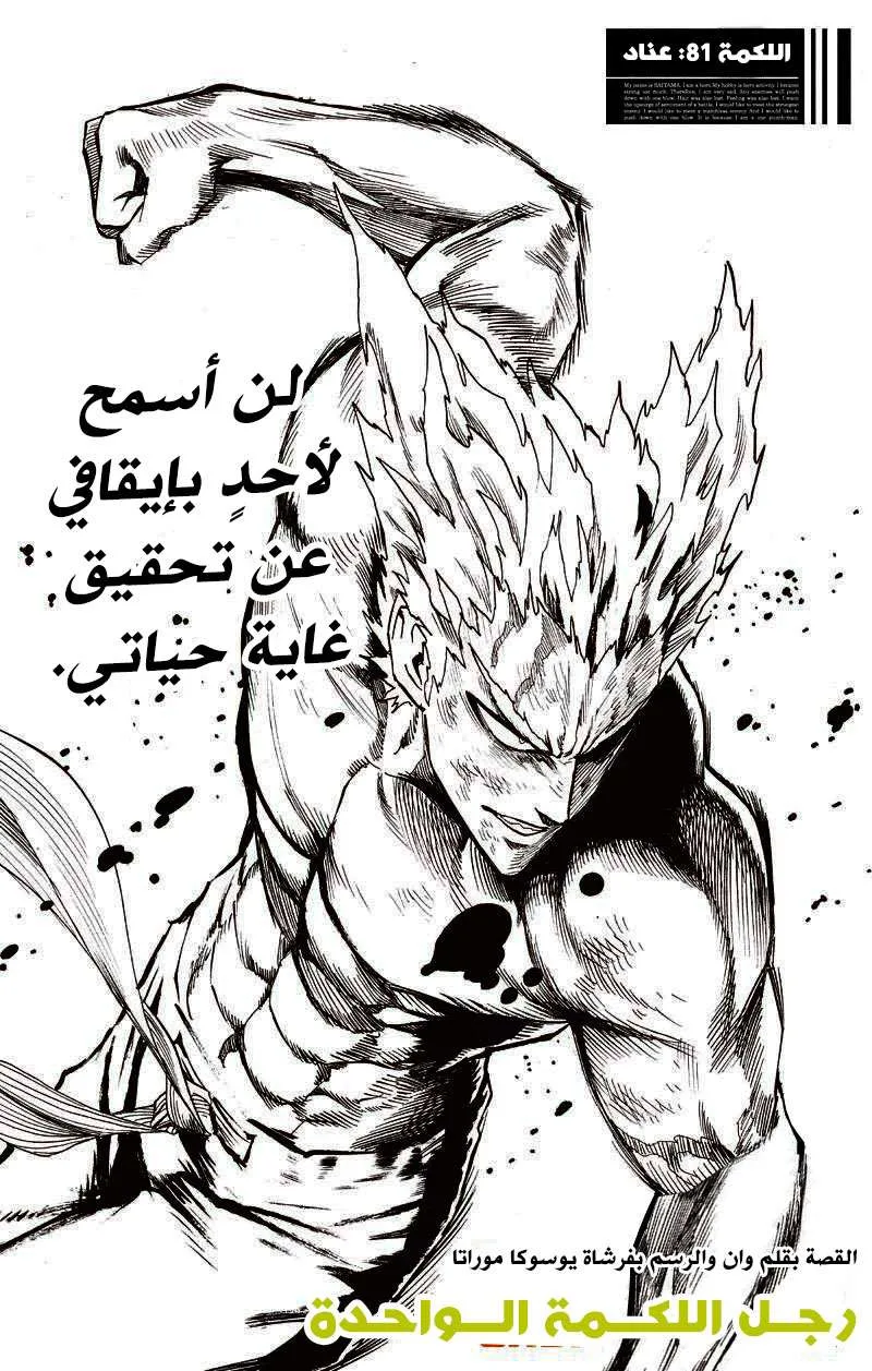 Read One Punch Man AR Manga Online