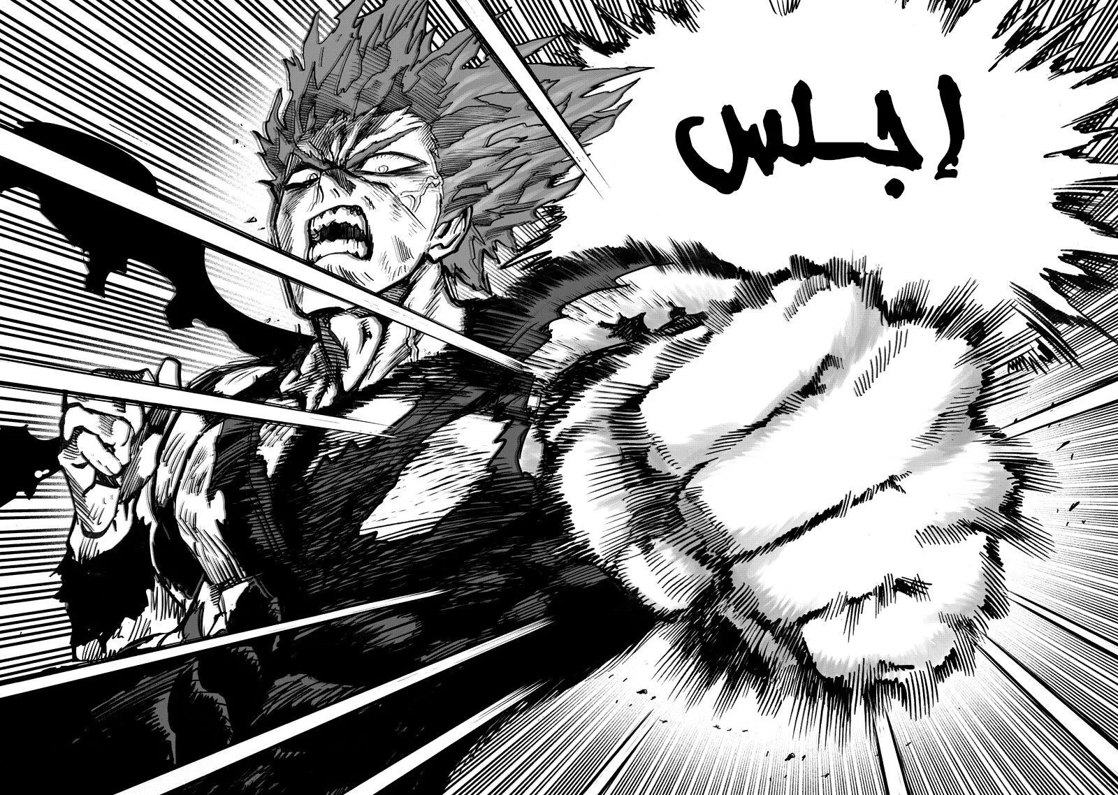 Read One Punch Man AR Manga Online