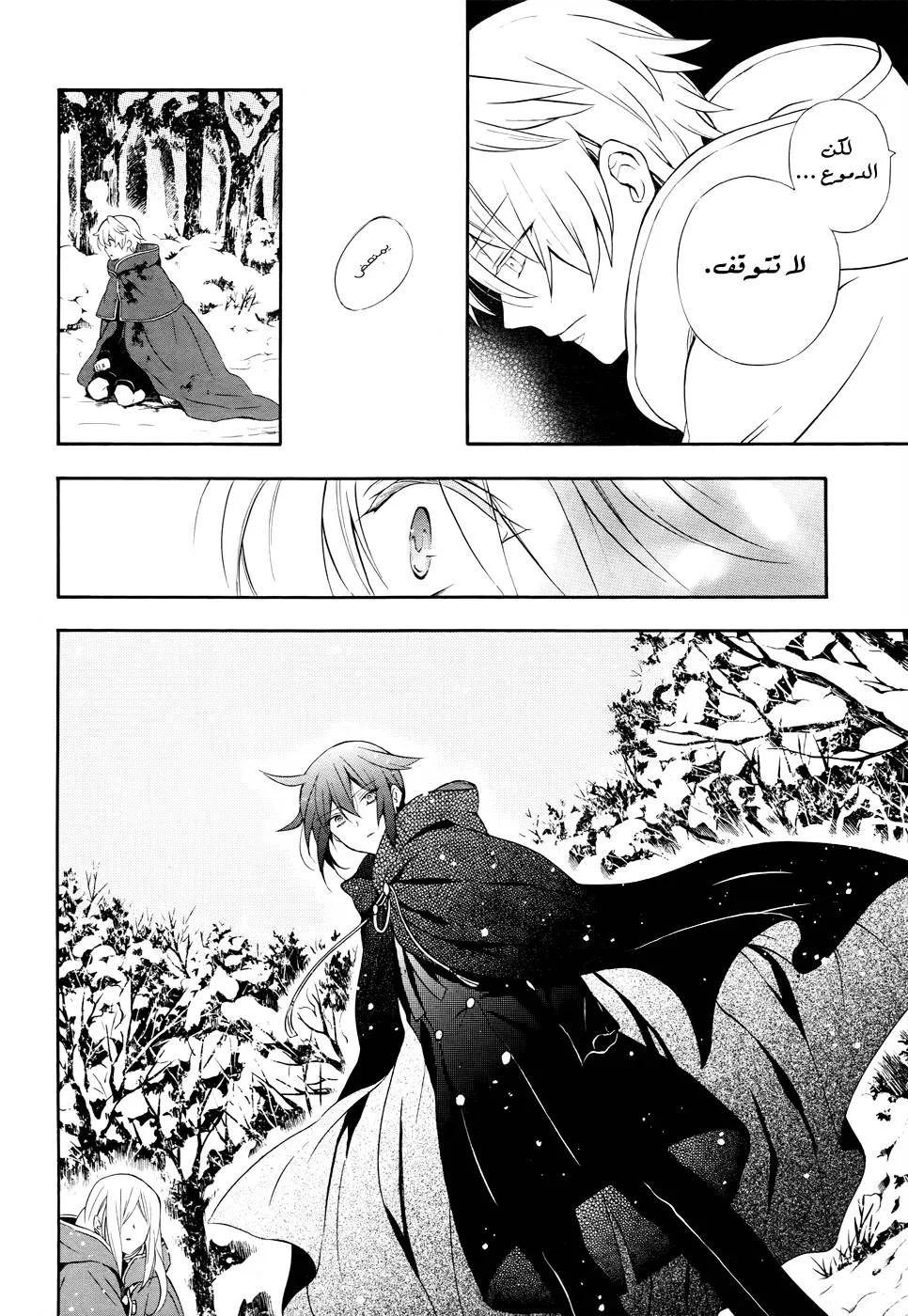 Read Pandora Hearts AR Manga Online