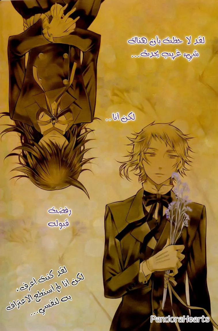Read Pandora Hearts AR Manga Online