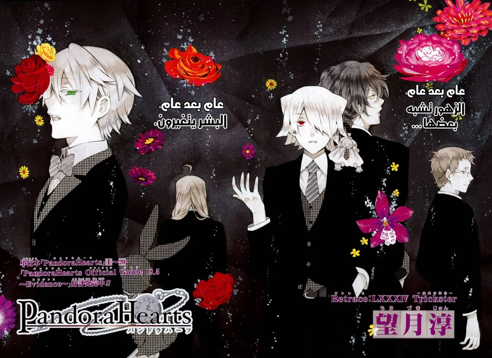 Read Pandora Hearts AR Manga Online