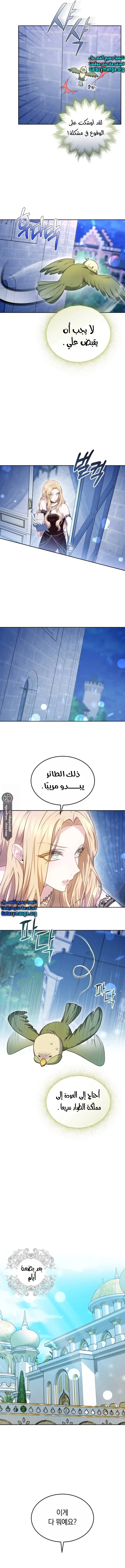 Read Predatory Bride AR Manga Online