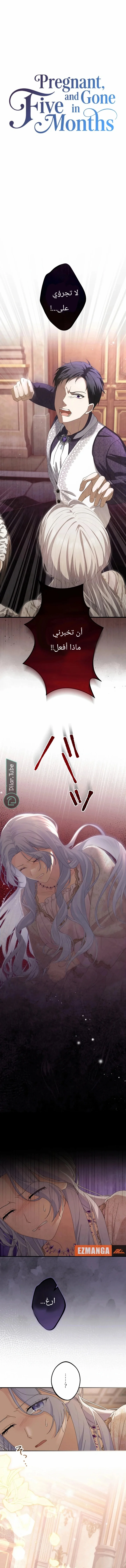 Read Pregnant, and Gone in Five Months AR Manga Online