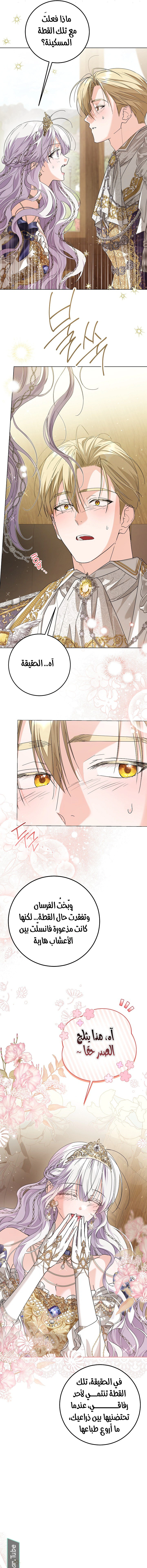 Read Princess Who Hides Her Fandom AR Manga Online