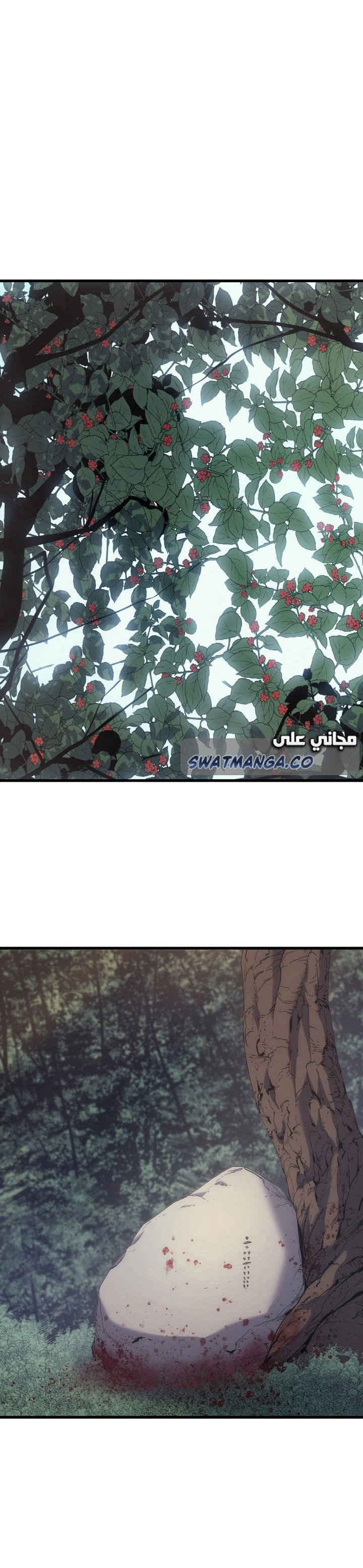 Read Reaper of the Drifting Moon AR Manga Online