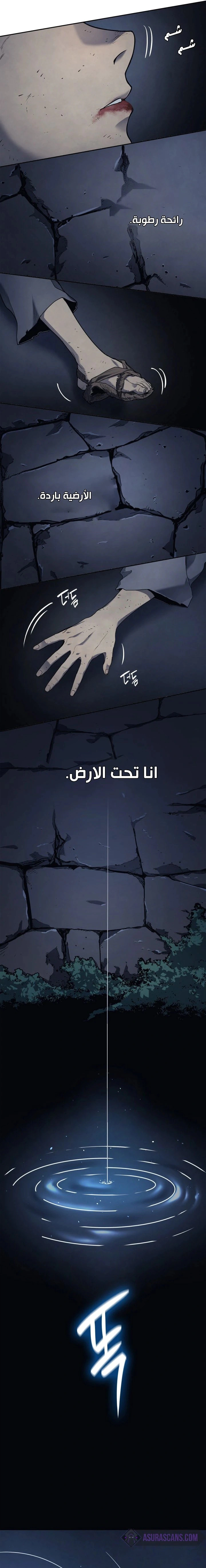 Read Reaper of the Drifting Moon AR Manga Online