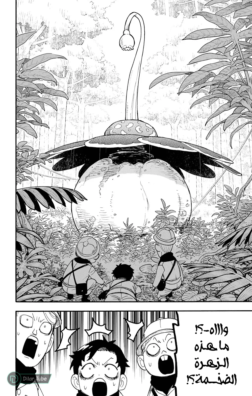 Read SPY×FAMILY AR Manga Online