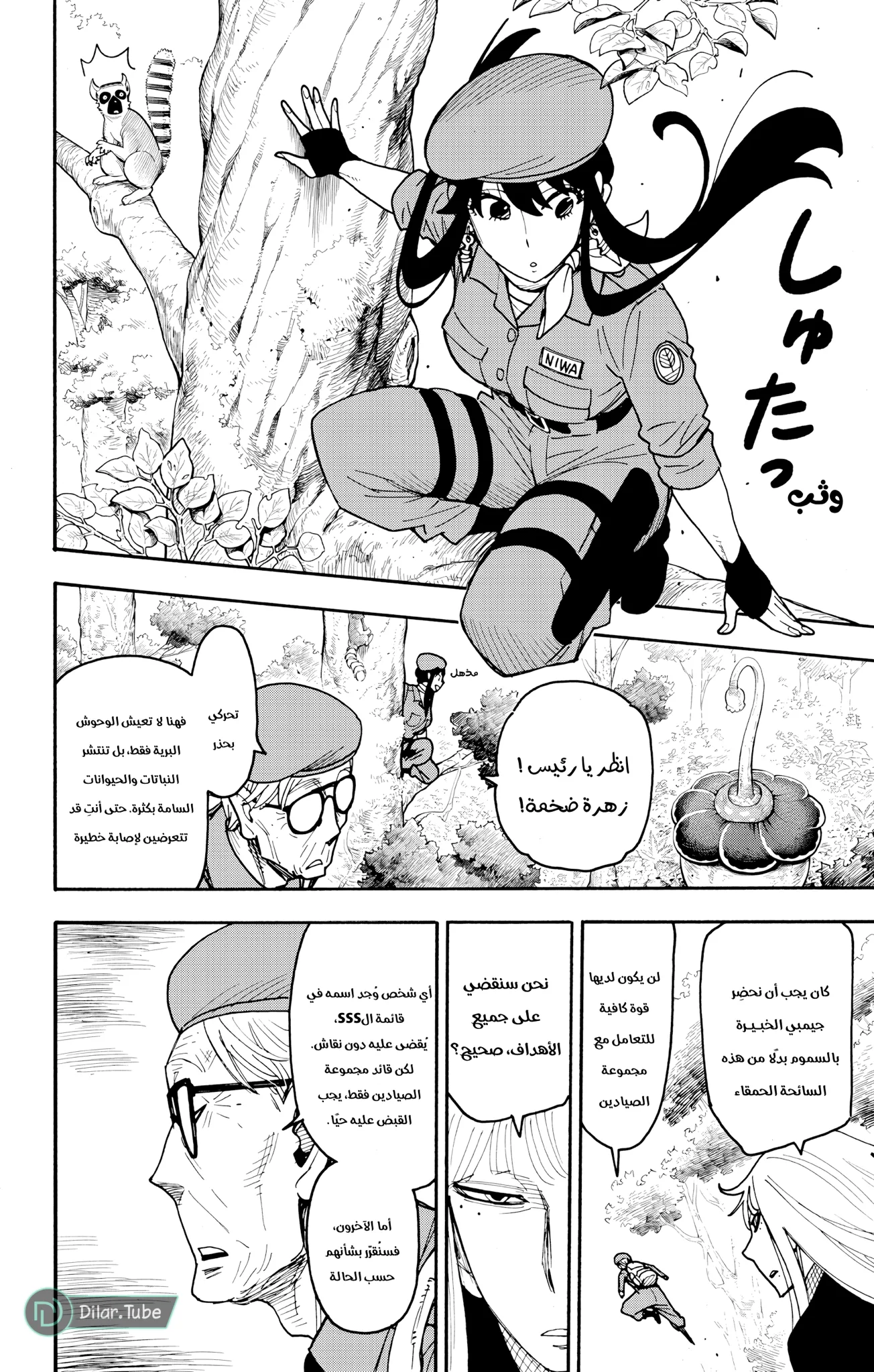 Read SPY×FAMILY AR Manga Online