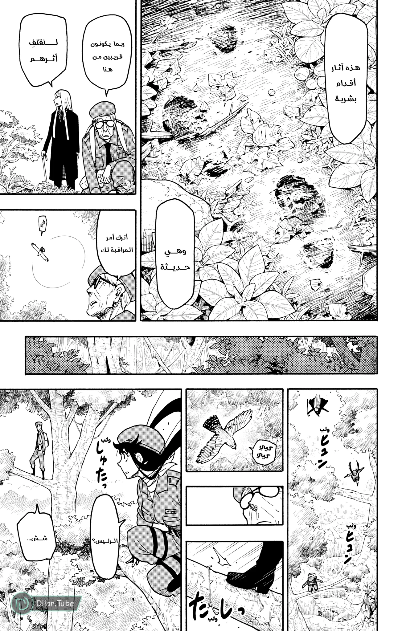 Read SPY×FAMILY AR Manga Online