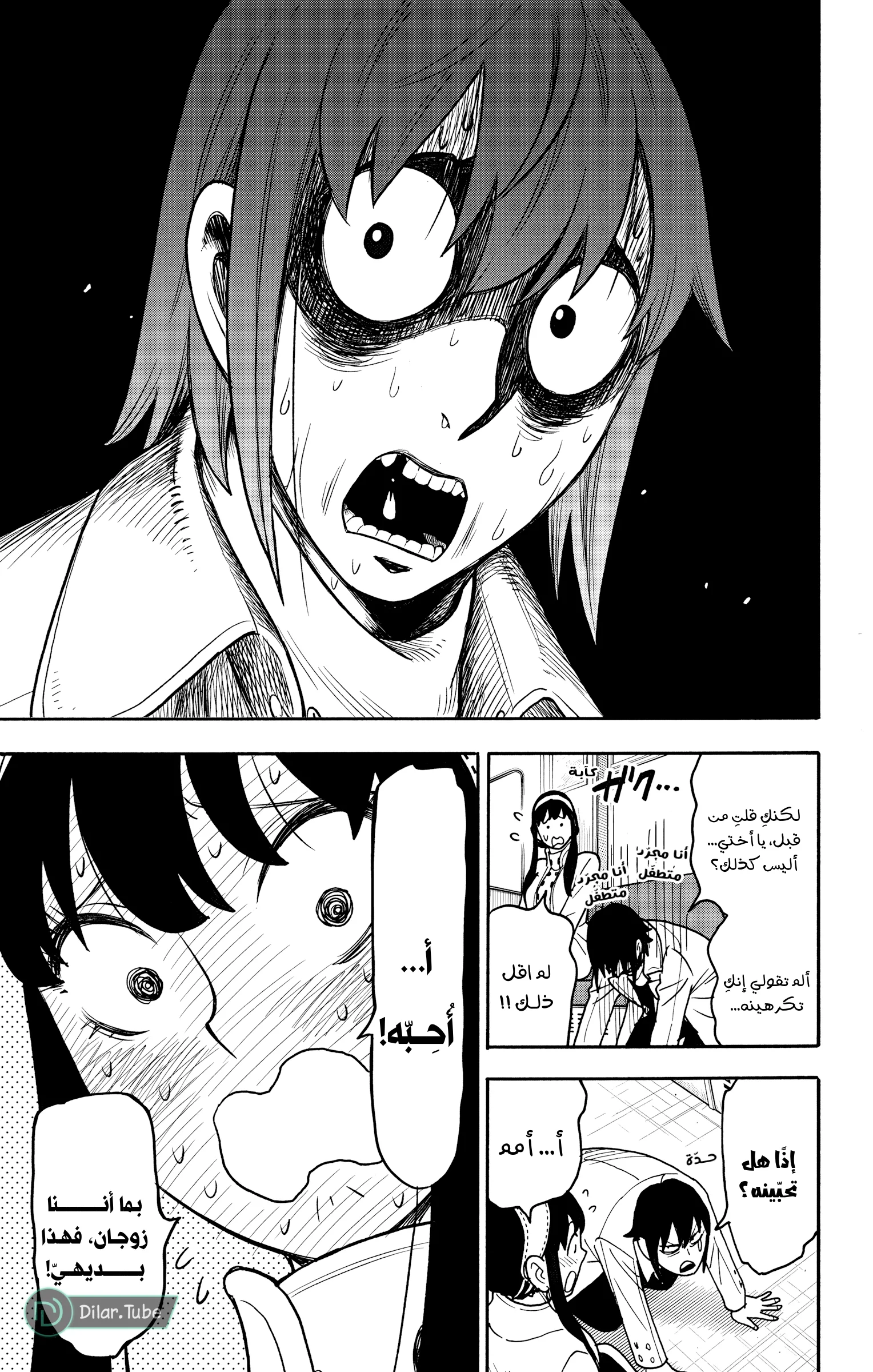 Read SPY×FAMILY AR Manga Online