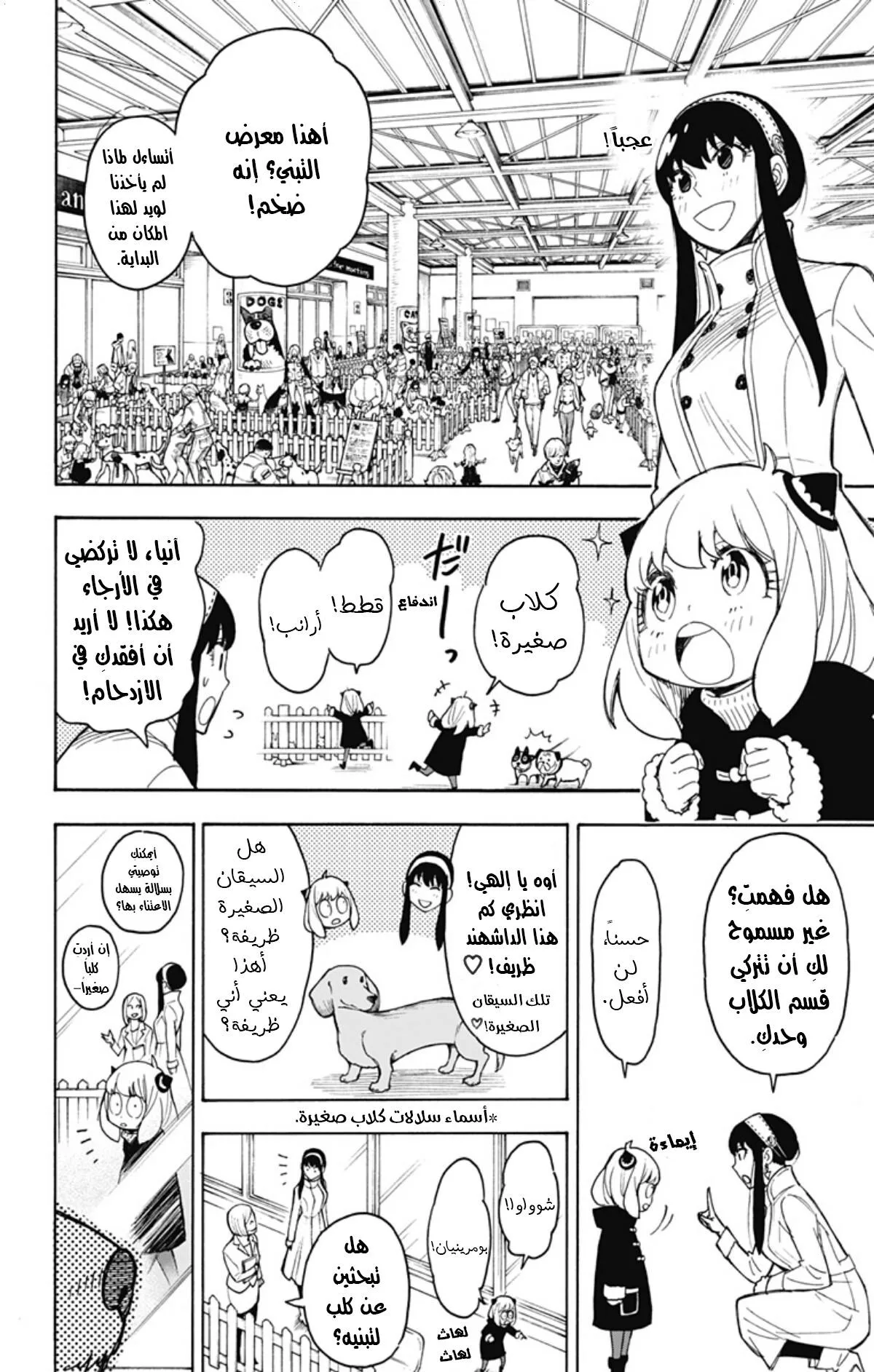 Read SPY×FAMILY AR Manga Online